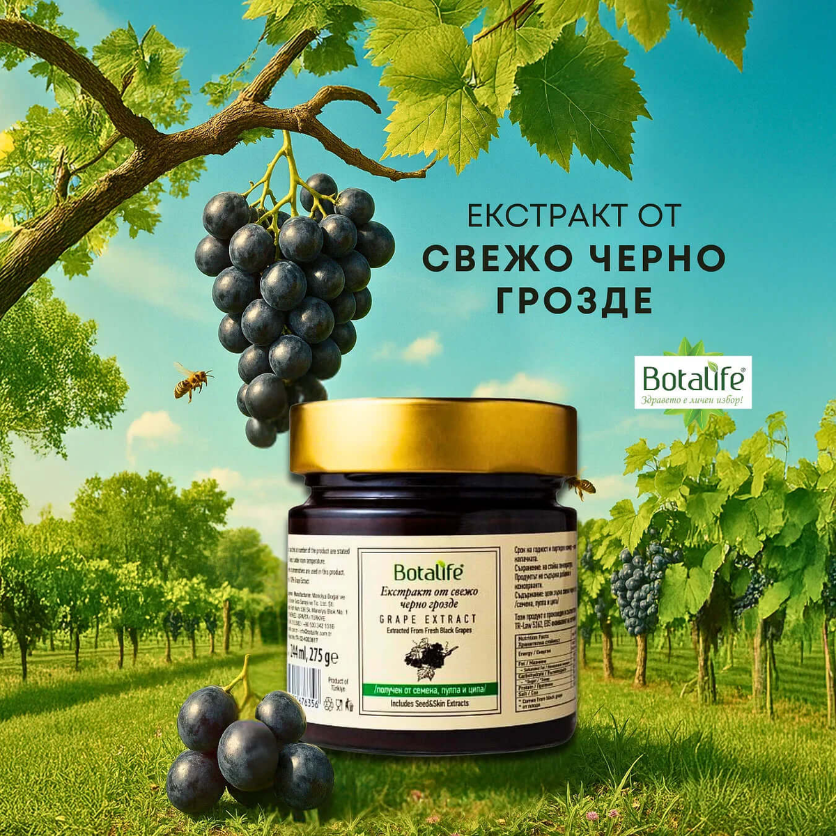 Fresh black grape extract (seeds, pulp, skin), 300 g / 450 g