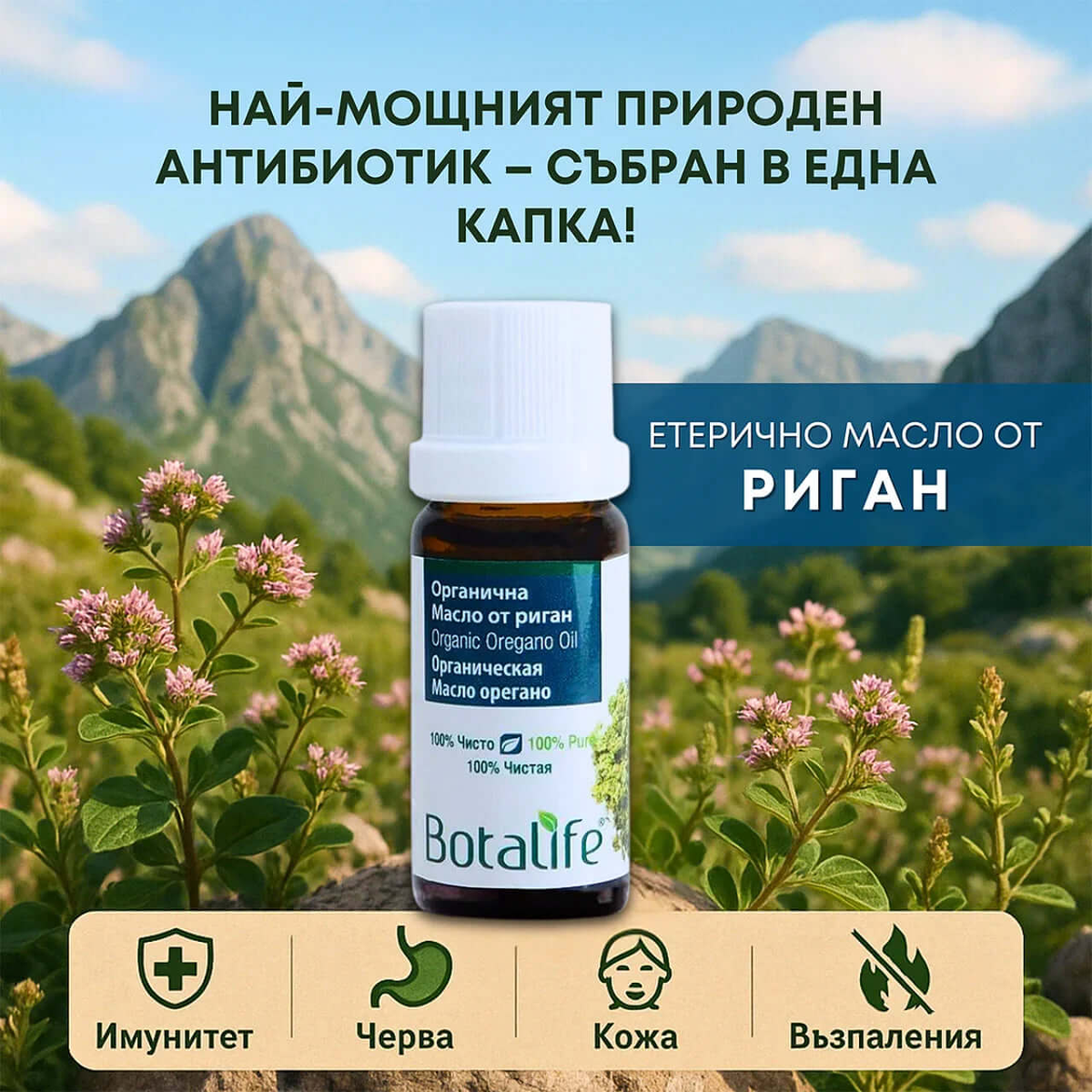 Етерично масло от див риган, 10 мл